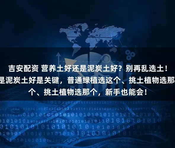 吉安配资 营养土好还是泥炭土好？别再乱选土！搞懂营养土好还是泥炭土好是关键，普通绿植选这个、挑土植物选那个，新手也能会！